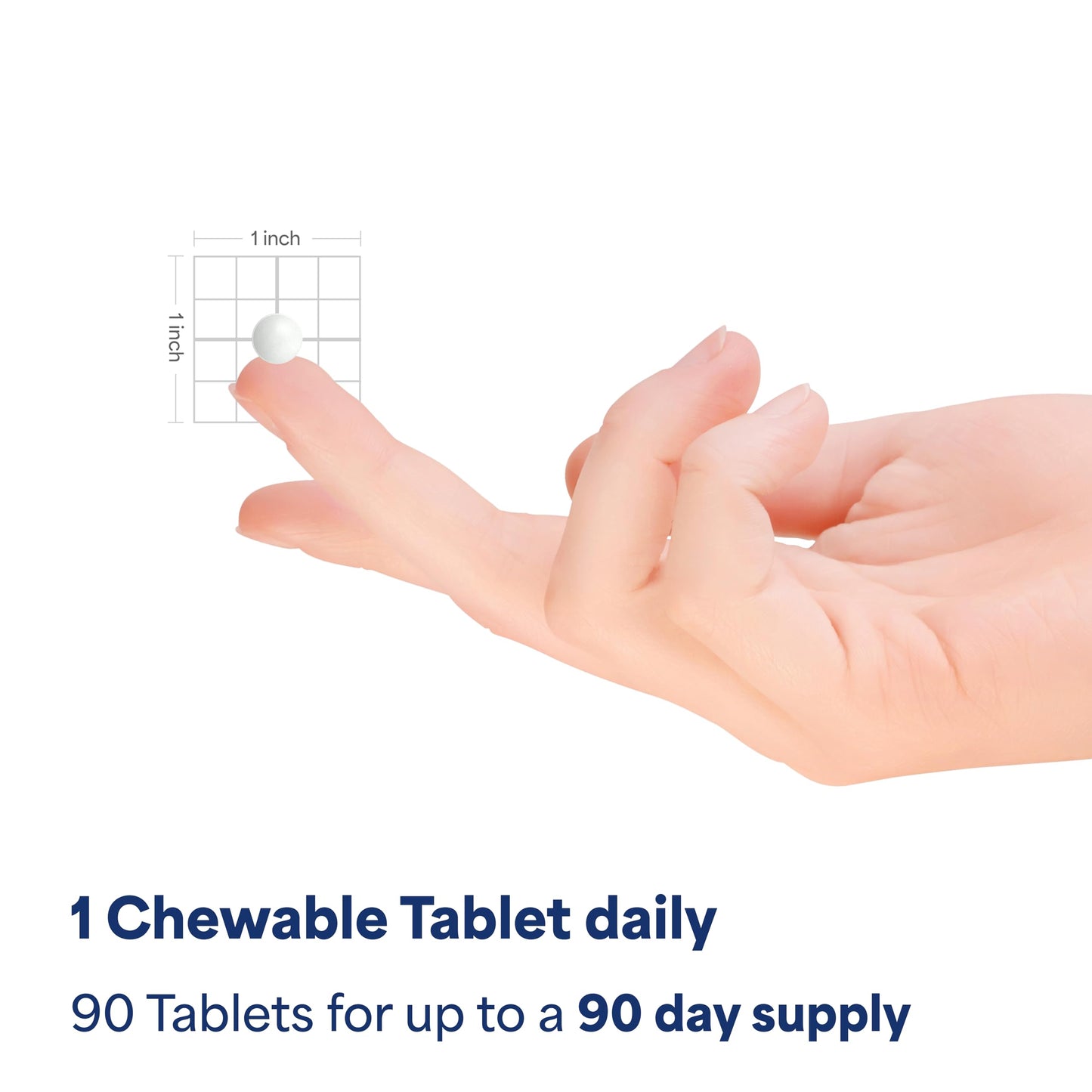 Puritan's Pride Chewable Vitamin C-500 mg with Rose Hips | Immune Support