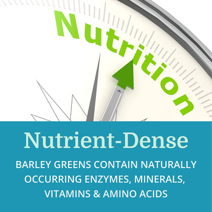 Morter HealthSystem AlkaGreen Tablets - Alkaline Barley Grass