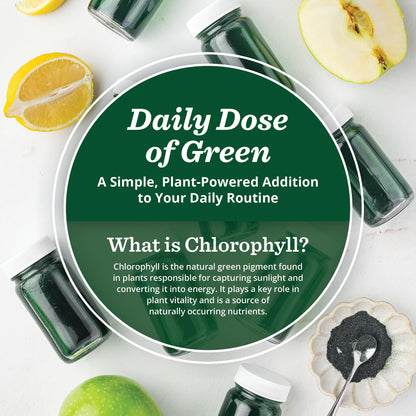 All About Juicing Chlorophyll Green Juice Shots – Clean Energy, Detox, Alkalize (30 Stick Packs)