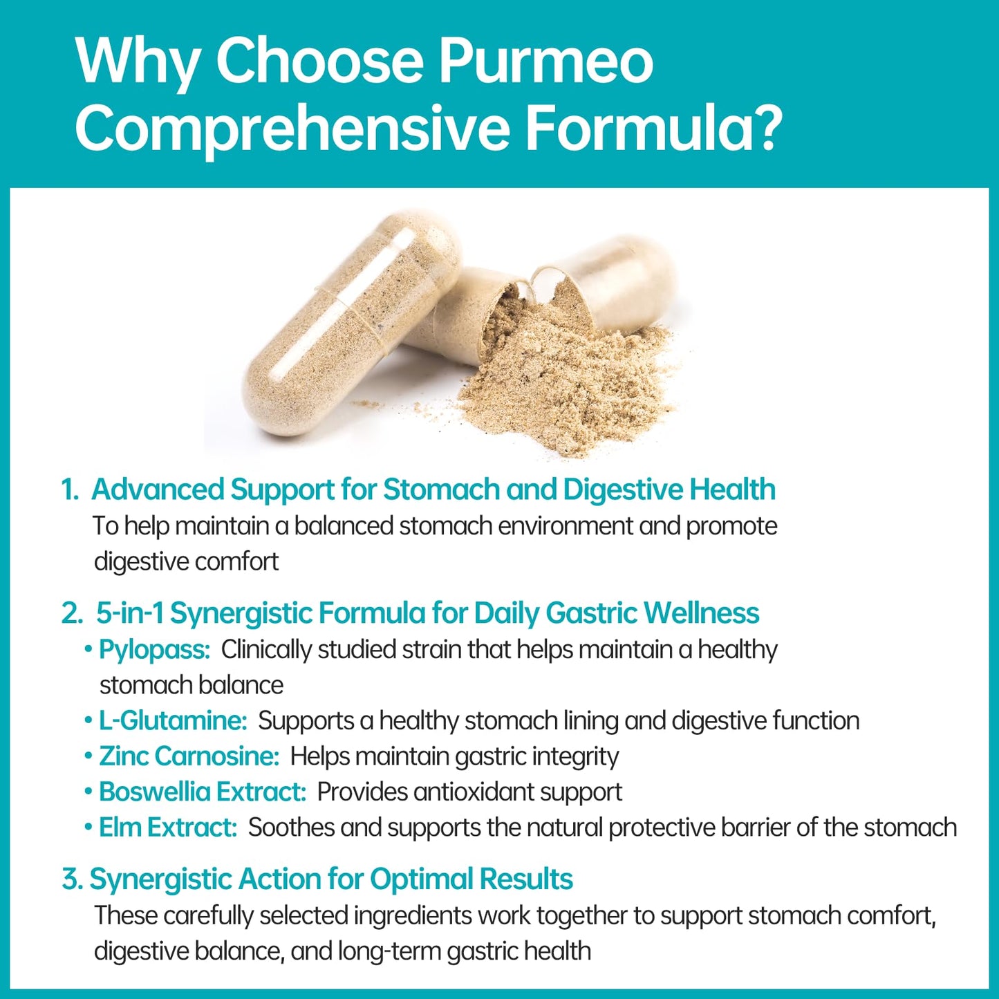 purmeo 5-in-1 High Potency H. Pylori Probiotics | 1 Daily Capsule for Gastric Support – Made in Germany