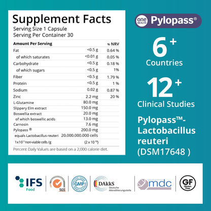 purmeo 5-in-1 High Potency H. Pylori Probiotics | 1 Daily Capsule for Gastric Support – Made in Germany