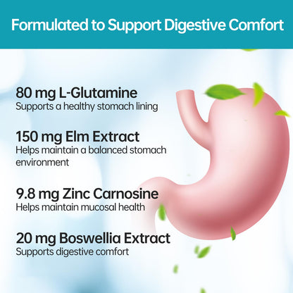 purmeo 5-in-1 High Potency H. Pylori Probiotics | 1 Daily Capsule for Gastric Support – Made in Germany