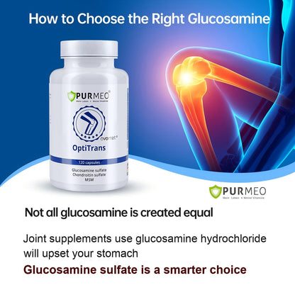 Purmeo OVOMET Eggshell Membrane Joint Supplement – Low-Purine Glucosamine, Chondroitin, MSM, Boswellia | Made in Germany | 60 Days Supply