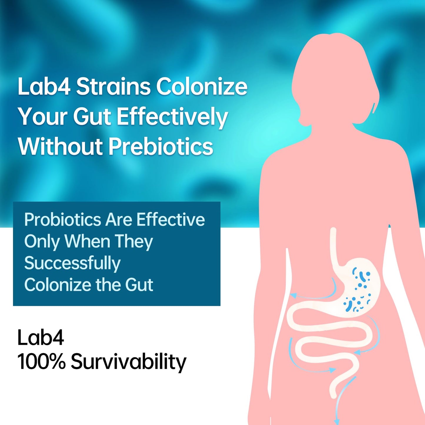 Purmeo Probiotics for IBS & Bloating – Lab4 20B CFU, 60-Day Supply