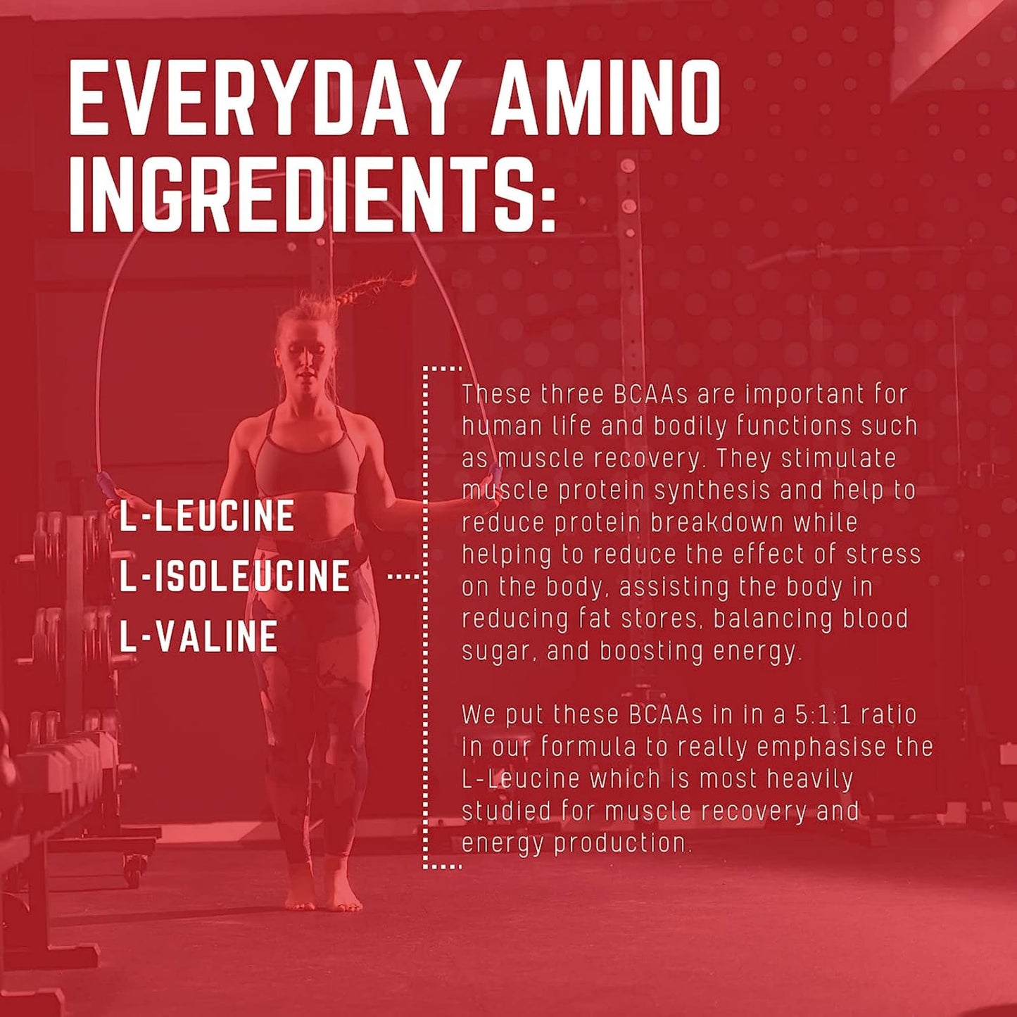 Purus Labs Everyday Amino BCAA Powder – Strawberry Lemonade | 5:1:1 BCAA, Sugar Free & Gluten Free, 30 Servings