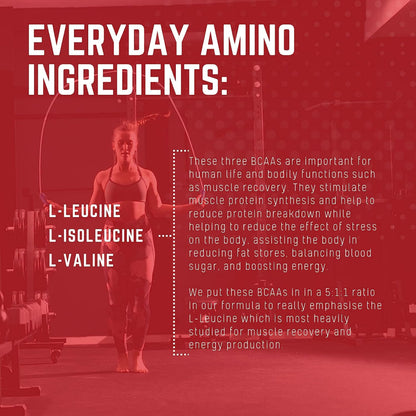 Purus Labs Everyday Amino BCAA Powder – Strawberry Lemonade | 5:1:1 BCAA, Sugar Free & Gluten Free, 30 Servings