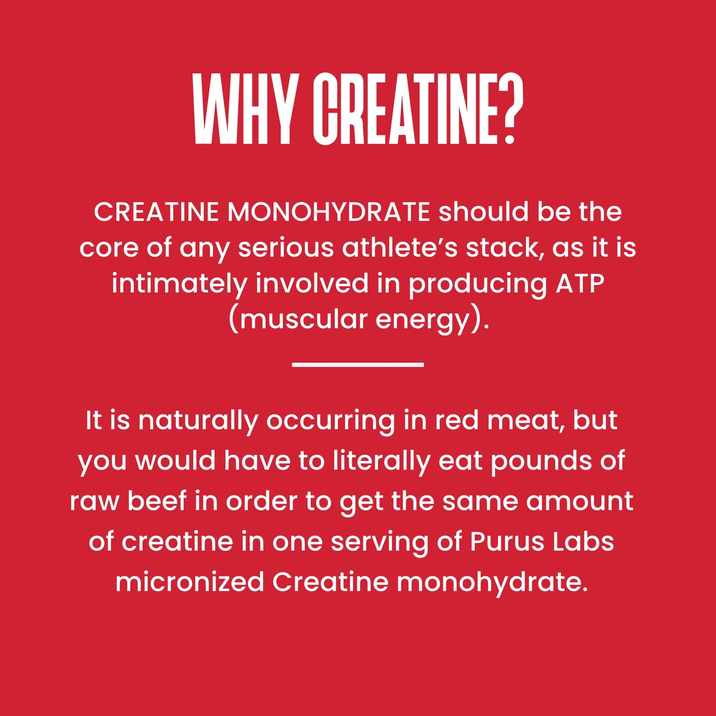 Purus Labs Foundation Series Creatine Powder | 100% Ultra Pure Micronized Creatine Monohydrate | Strength, Mass, Power, Recovery | 30 Servings (Unflavored)