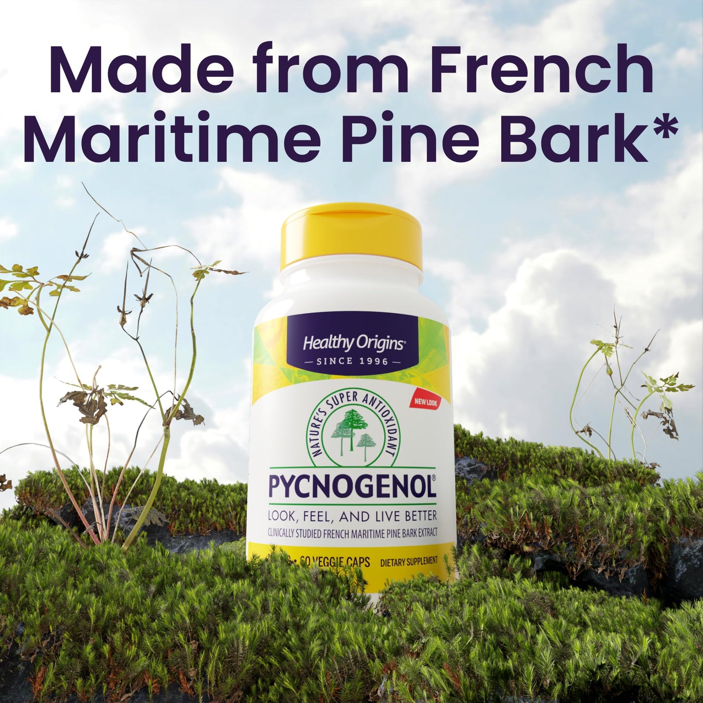 Healthy Origins Pycnogenol 100 mg – Pine Bark Extract, Non-GMO, 60 Veggie Caps