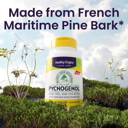 Healthy Origins Pycnogenol 100 mg – Pine Bark Extract, Non-GMO, 60 Veggie Caps