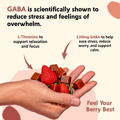 PYM Berry Mood Chews – Stress & Overwhelm Support (120 Count) • Vegan & Gluten-Free