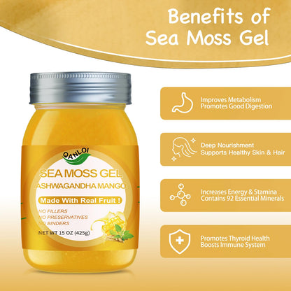 QANLOI Seamoss Gel with Irish Sea Moss - Immune Support, Ashwagandha Mango, 15oz