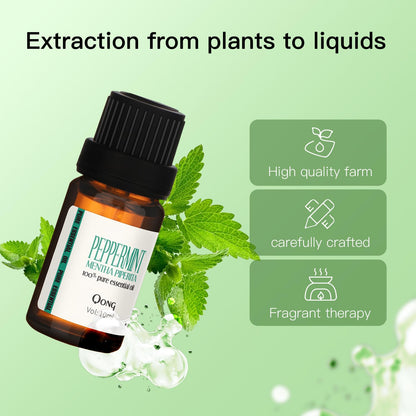 QONG Peppermint Essential Oil Blend 10ml – Hair Growth, Scalp Care & Diffuser