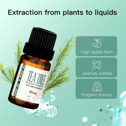 QONG Tea Tree Essential Oil Blend - 100% Pure, Undiluted 10mL for Diffuser, Anti-Dandruff & Anti-Itch