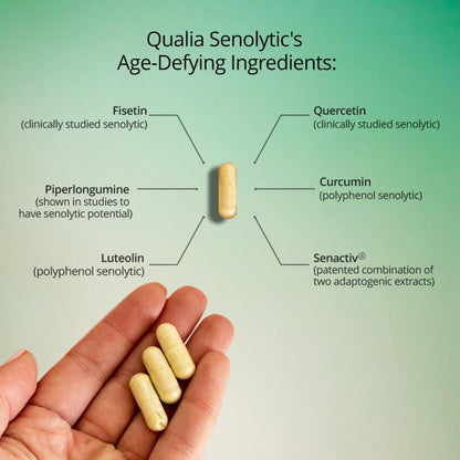 QUALIA LIFE SCIENCES Senolytic Supplement – Fisetin, Quercetin & Piperlongumine for Aging Support | 1 Month Supply