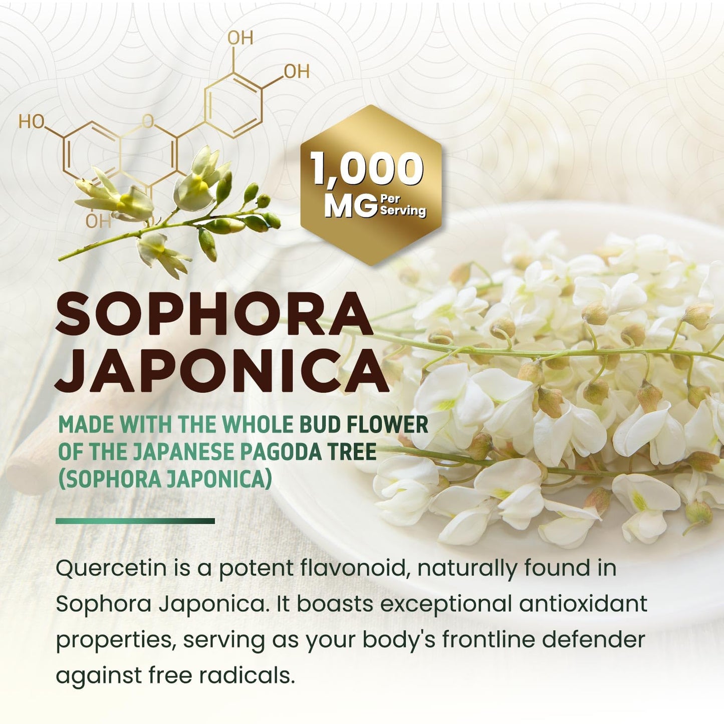 Quercetin Supplement 1000mg - Extra Strength Plant-Based Bioflavonoids for Immune & Respiratory Support