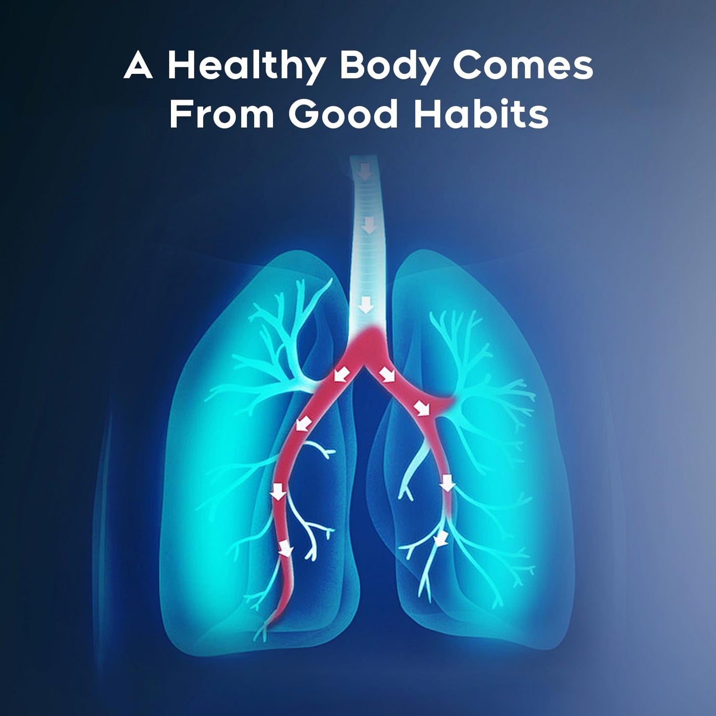 Quit Smoking with Elegance - Natural Woody Smokeless Inhalers (JY01)