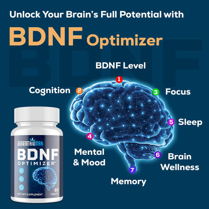 Quorinthiumax Nootropic Brain Supplement – BDNF Optimizer for Focus, Memory & Mood | Organic Lion's Mane, L-Theanine, Ginkgo Biloba & Alpha GPC – 60 Tablets (2 Bottles)