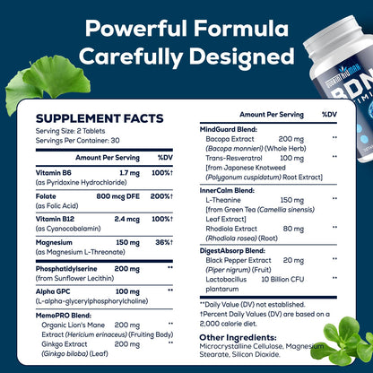 Quorinthiumax Nootropic Brain Supplement – BDNF Optimizer for Focus, Memory & Mood | Organic Lion's Mane, L-Theanine, Ginkgo Biloba & Alpha GPC – 60 Tablets (2 Bottles)
