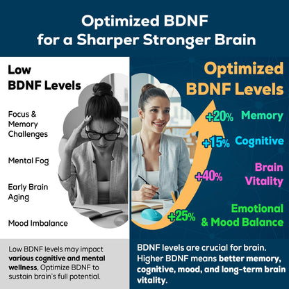 Quorinthiumax Nootropic Brain Supplement – BDNF Optimizer for Focus, Memory & Mood | Organic Lion's Mane, L-Theanine, Ginkgo Biloba & Alpha GPC – 60 Tablets (2 Bottles)