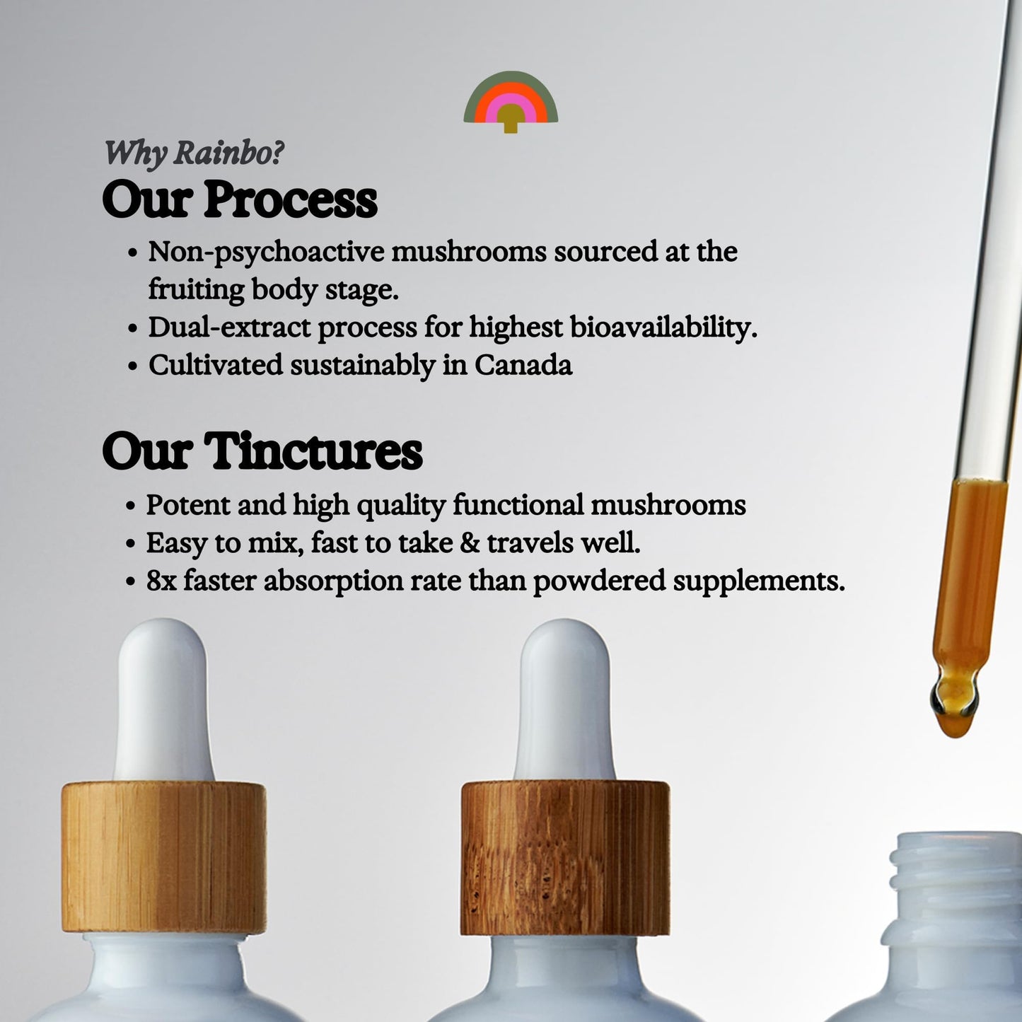 Rainbo 11:11 Multi Mushroom Tincture – 11-Mushroom Dual Extract for Immune & Brain Support, 3.4 fl oz, Vegan
