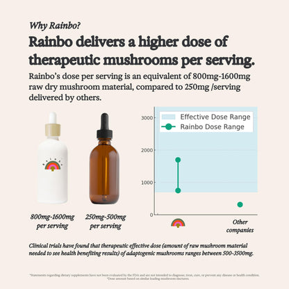 Rainbo 11:11 Multi Mushroom Tincture – 11-Mushroom Dual Extract for Immune & Brain Support, 3.4 fl oz, Vegan