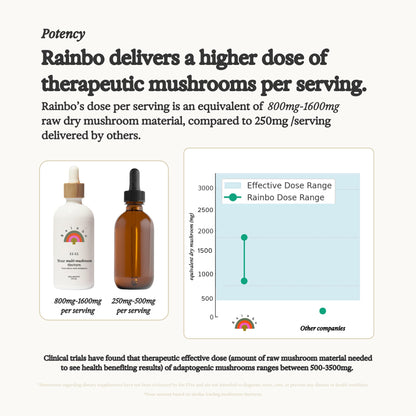 Rainbo Lion's Mane Mushroom Tincture – Alcohol-Free Dual Extract | Brain Health & Focus | Vegan 3.4 fl oz