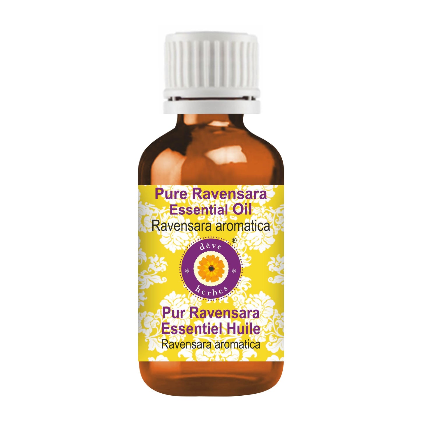 Ravensara Essential Oil (Ravensara aromatica) 10ml – Pure, Steam Distilled | dève herbes