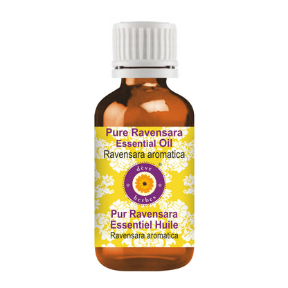 Ravensara Essential Oil (Ravensara aromatica) 10ml – Pure, Steam Distilled | dève herbes