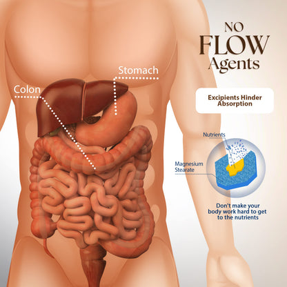 Dr. Clark Raz-Caps Supplement – 500mg, 100 Gelatin Capsules