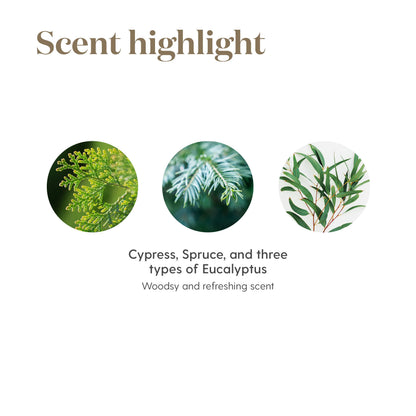 Young Living R.C. Essential Oil Blend 15ml – Cypress, Spruce, Myrtle, Pine & Eucalyptus | Refreshing Aroma