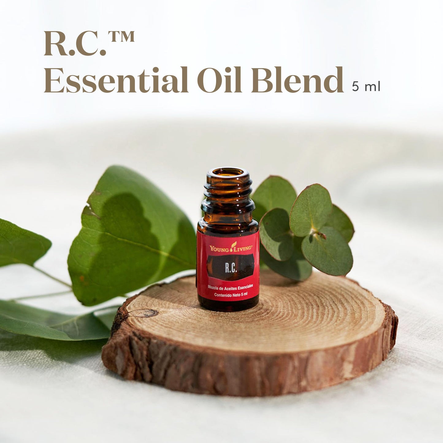 Young Living R.C. Essential Oil Blend – 5ml | 100% Pure, Fresh Aroma for Diffuser & Topical Use