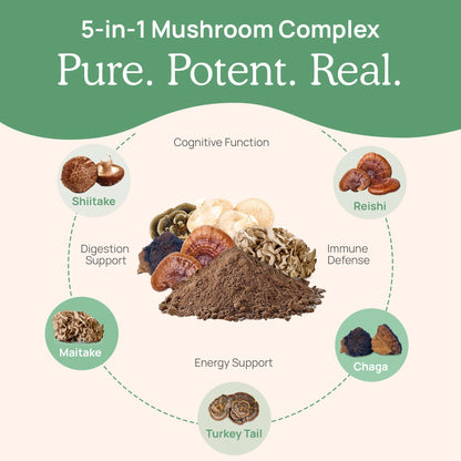 Real Mushrooms 5 Defenders Mushroom Complex – 5-Mushroom Beta Glucans (45 Servings)