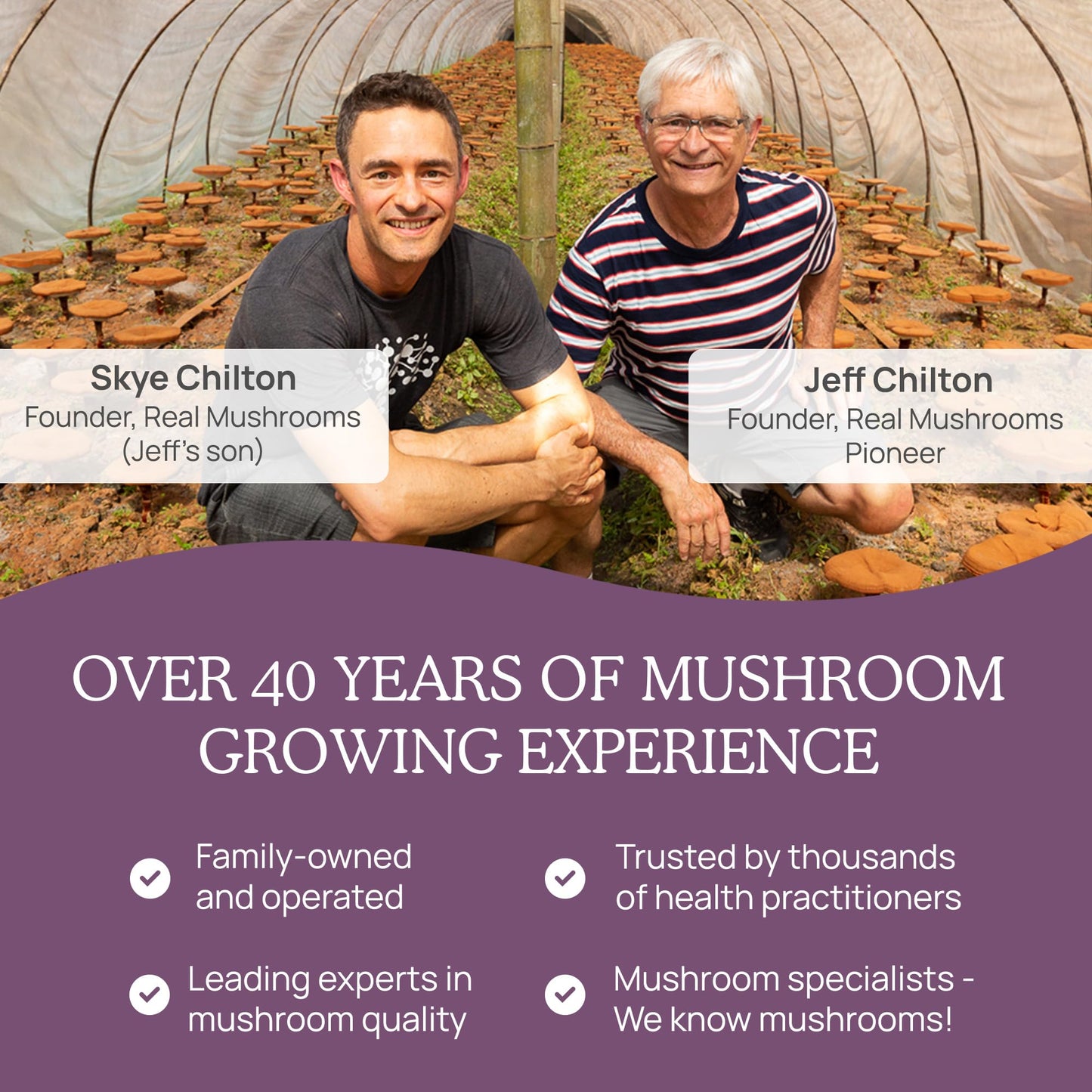 Real Mushrooms Chaga Capsules – Organic Chaga Extract, Vegan & Non-GMO, 300 Capsules