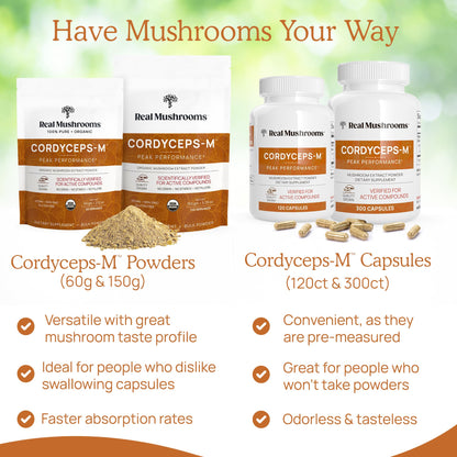 Real Mushrooms Cordyceps Capsules – Organic Cordyceps Militaris, 300 Vegan Capsules | 8% Beta-Glucans, Made in USA
