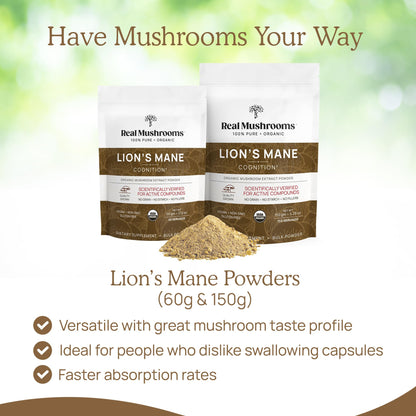 Real Mushrooms Lion’s Mane Supplement Powder – Organic Lion’s Mane Extract, 150 Servings