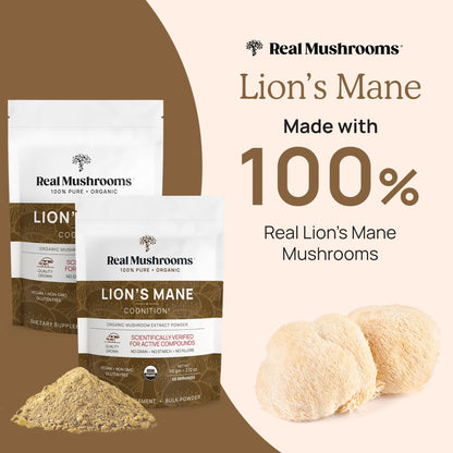 Real Mushrooms Lion’s Mane Supplement Powder – Organic Lion’s Mane Extract, 150 Servings