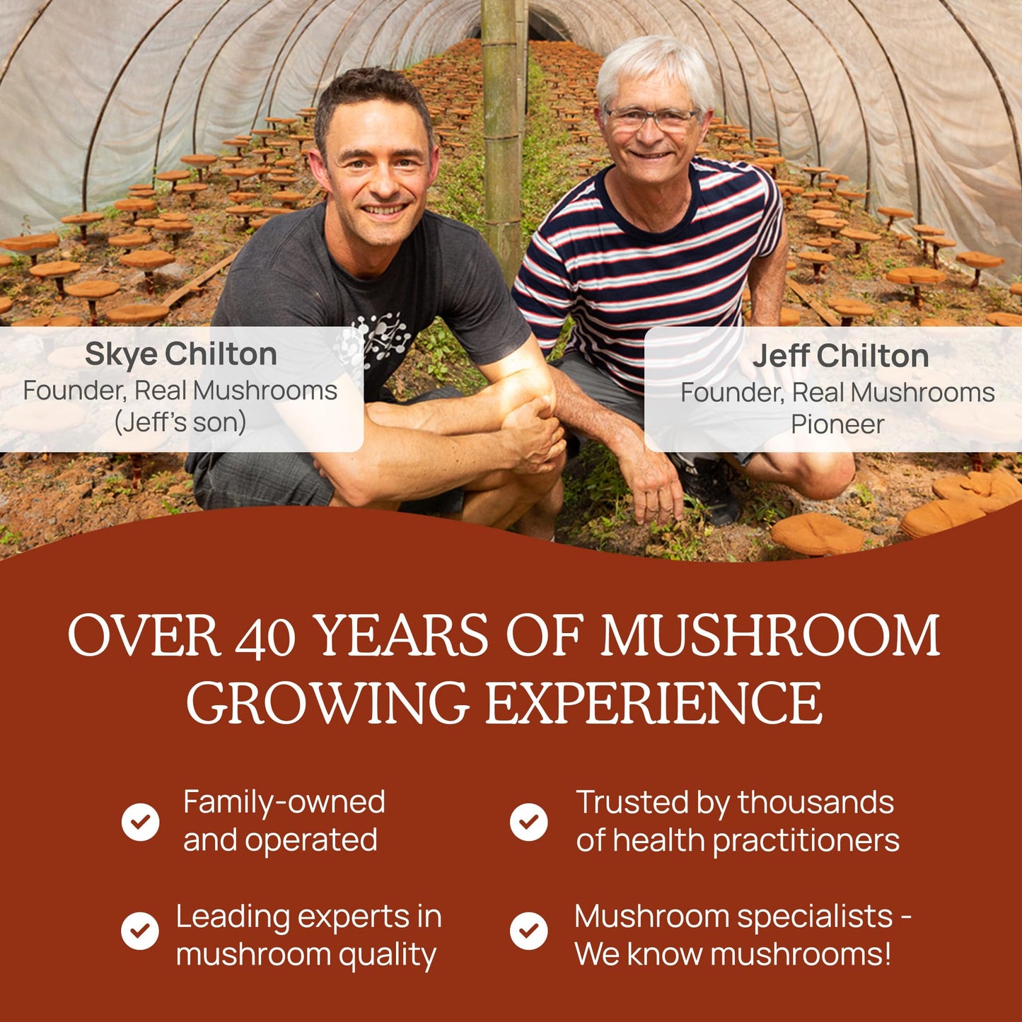 Real Mushrooms Reishi Powder – Organic Red Reishi Extract, 45 Servings, Beta-Glucans