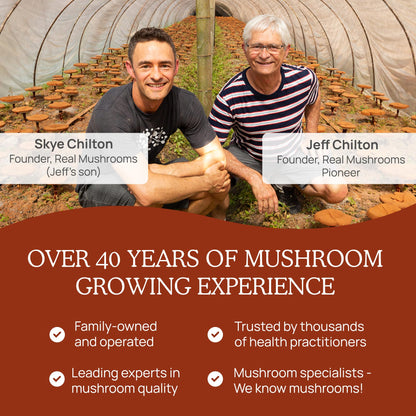 Real Mushrooms Reishi Powder – Organic Red Reishi Extract, 45 Servings, Beta-Glucans