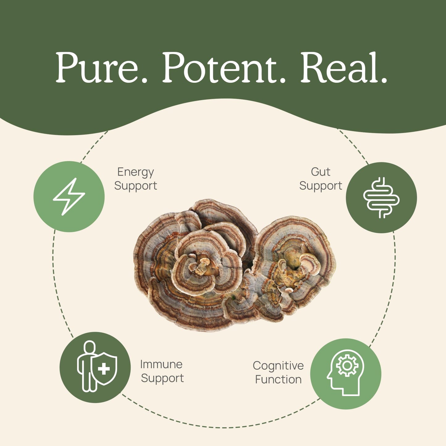 Real Mushrooms Turkey Tail Capsules – Organic, Vegan, 90 Count