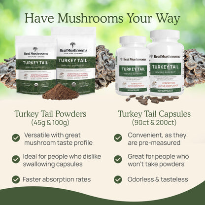 Real Mushrooms Turkey Tail Capsules – Organic, Vegan, 90 Count
