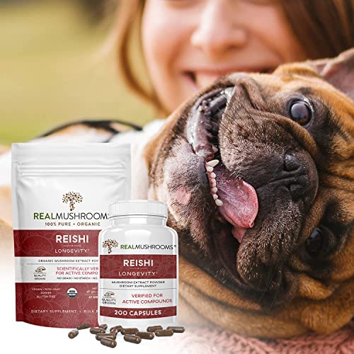 Real Mushrooms Reishi Powder – Organic Red Reishi Extract, 45 Servings, Beta-Glucans