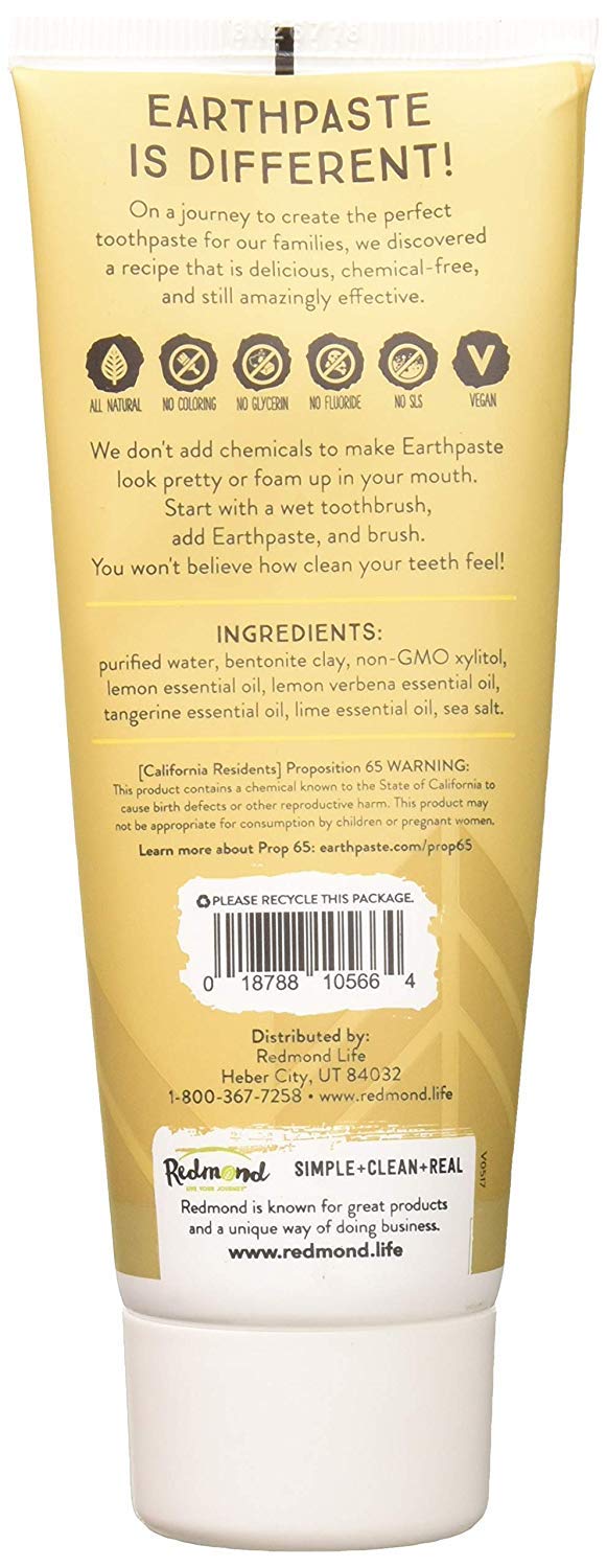 Redmond Real Salt Lemon Twist Earthpaste, 4 oz