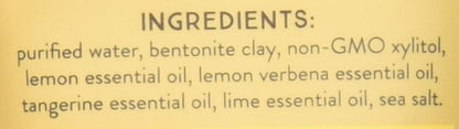 Redmond Real Salt Lemon Twist Earthpaste, 4 oz