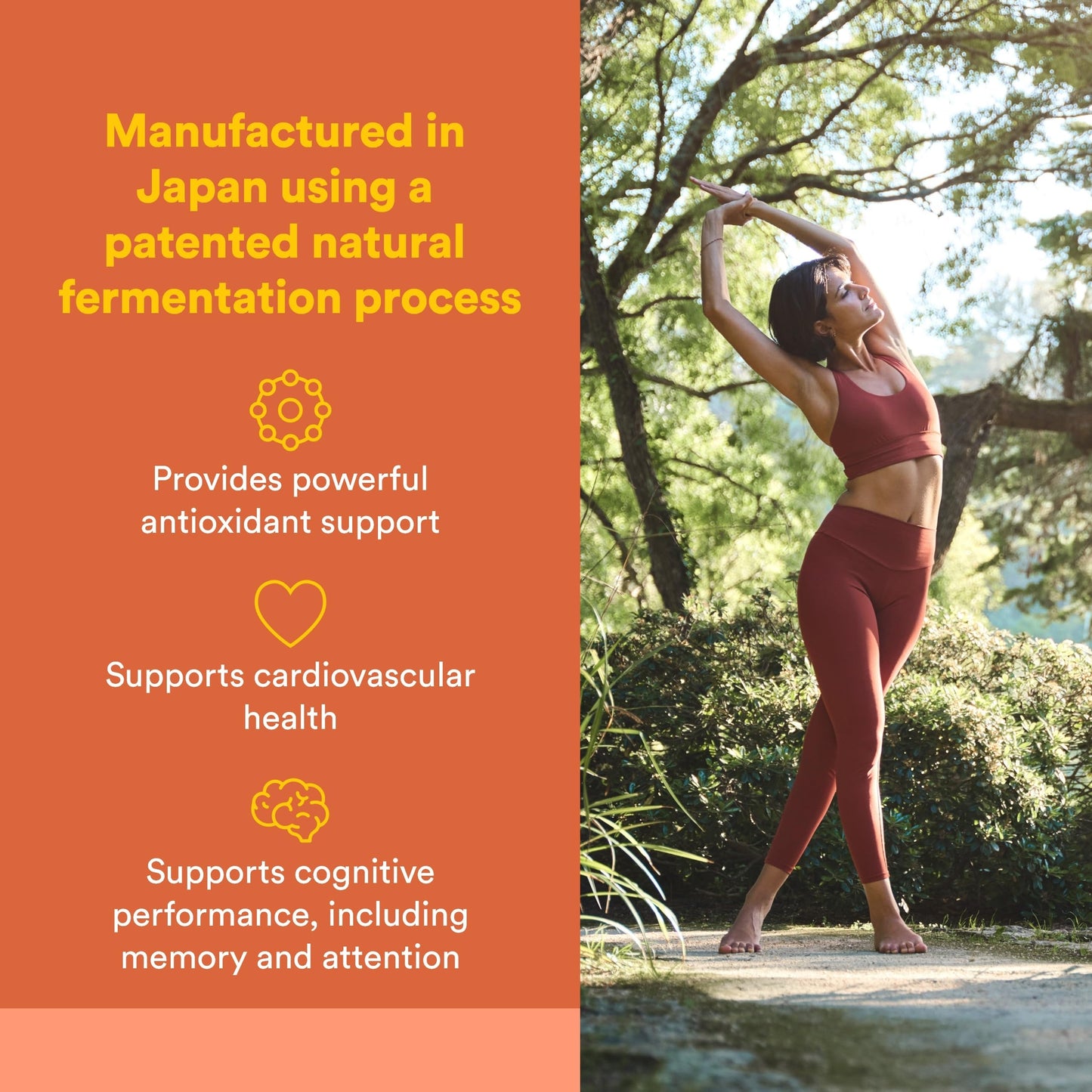 Natural Factors PQQ-10 with CoQ10 | Energy, Brain Health & Healthy Aging | 60 Softgels