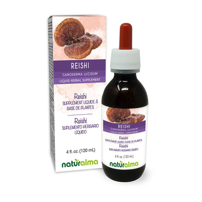 Naturalma Reishi Alcohol-Free Tincture (Ganoderma lucidum) 4 oz – Vegan Liquid Extract