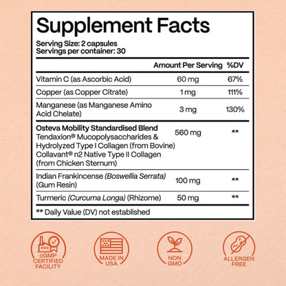 Rejuveen Osteva Joint Support – High Potency Collagen, Turmeric & Boswellia | 60 Count | Non-GMO