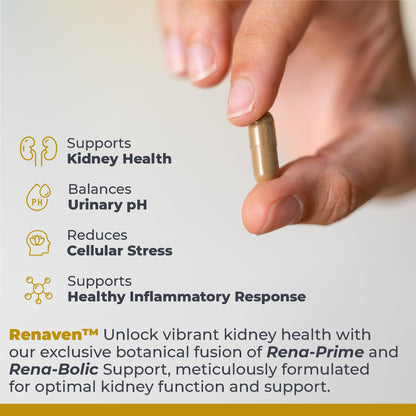 Premier Research Labs RenaVen | Kidney Support with Fermented Cordyceps - 60 Plant-Source Capsules