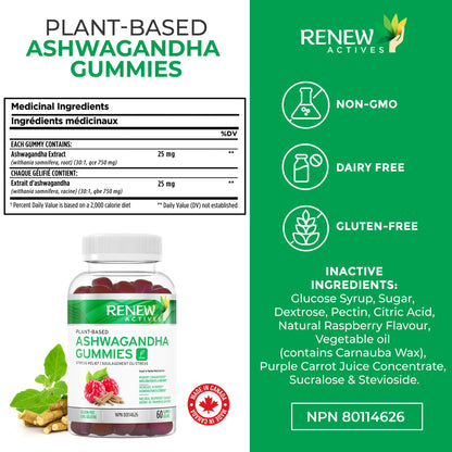Renew Actives Ashwagandha Gummies 100MG – Vegan, Made in Canada