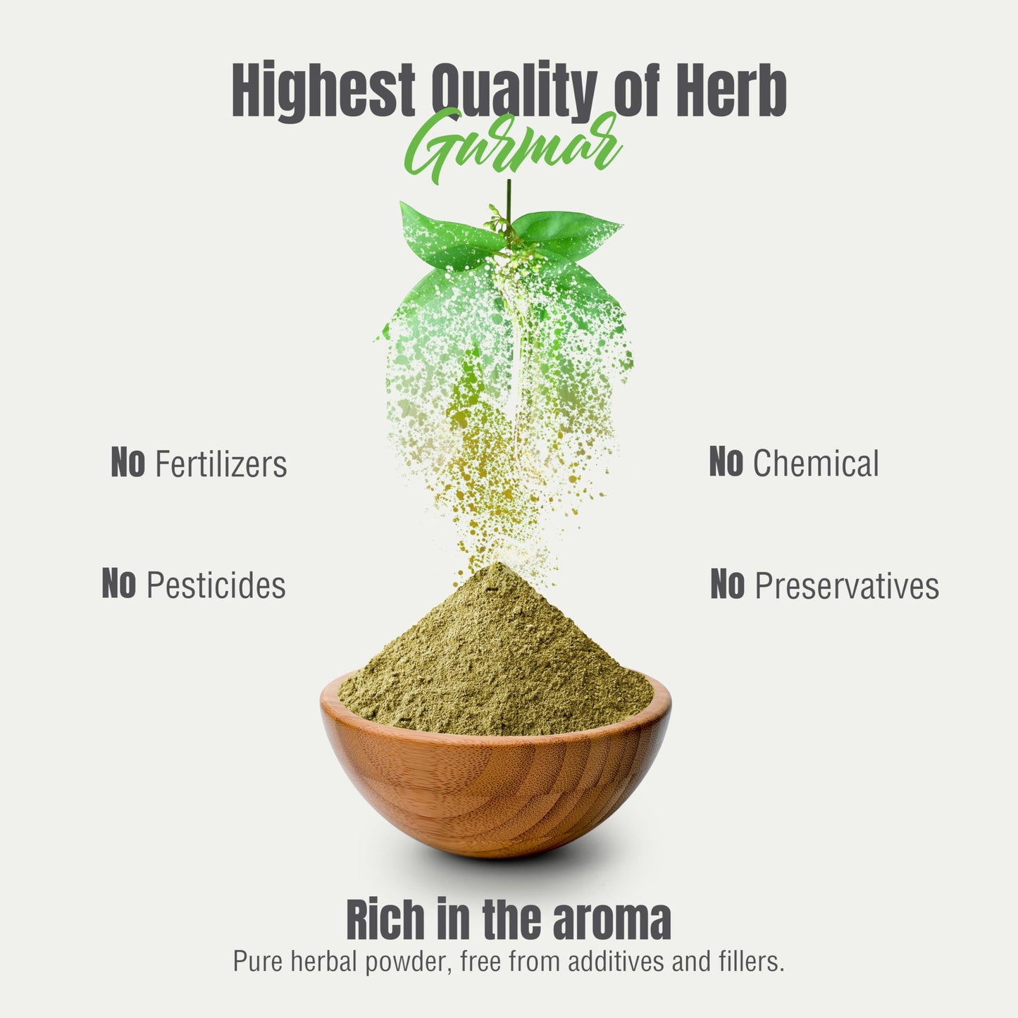 Herbsforever Gurmar Powder | Organic Gymnema Sylvestre Leaf | 454 GMS | Non-GMO, Vegan, Gluten-Free