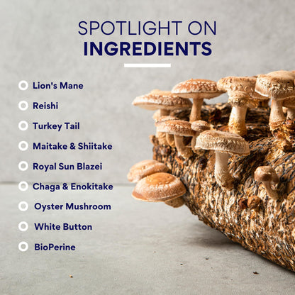 Research Verified Mushroom Complex – Immunity, Antioxidants & Cognition – 60 Vegan Capsules